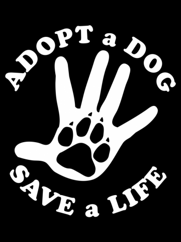 Adopt A Dog Save A Life