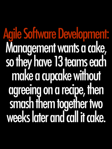 Agile Software Development