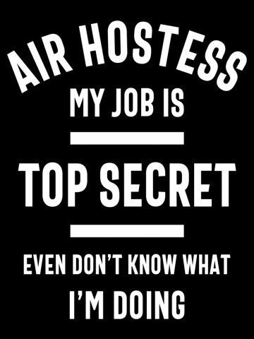Air Hostess Job Title Gift