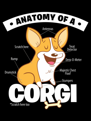 Anatomy of a Corgi T-Shirt