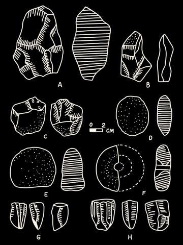 Archeology Stone Collection - Paleontology and Anthropology