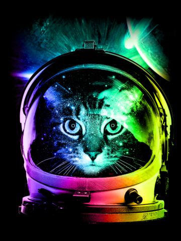 Astronaut Cat (version.II)