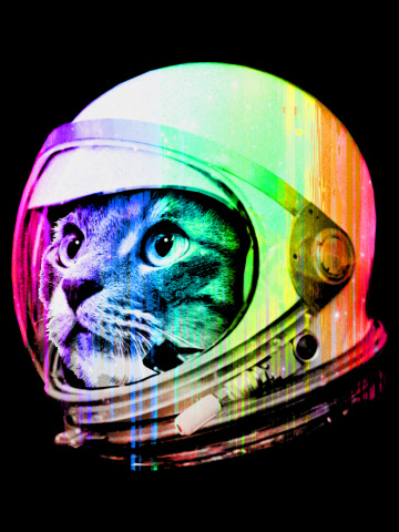 Astronaut Space Cat 