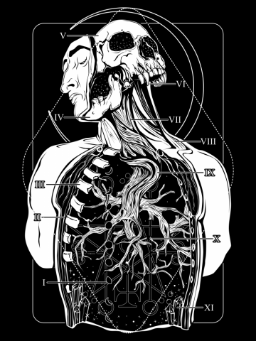 Atypical Anatomy