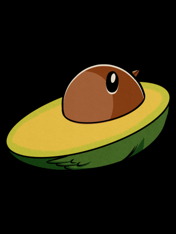 Avocaduck avocado and duck