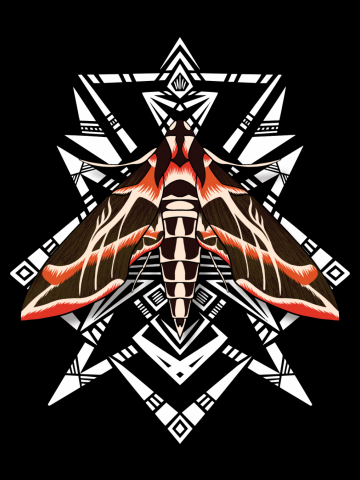 Banded Sphinx Moth Mandala