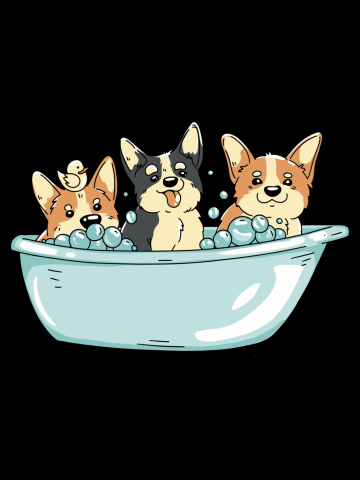 Bathing Corgi Dogs
