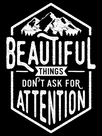Beautiful Things Don't Ask For Attention