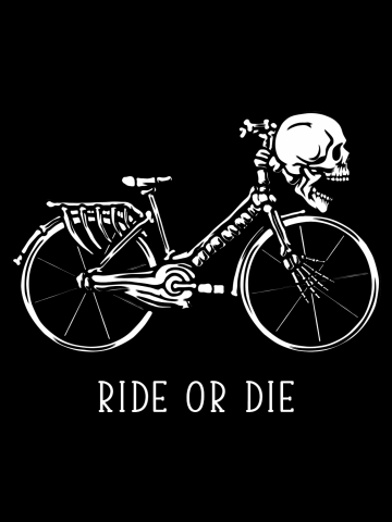 Bike Skeleton