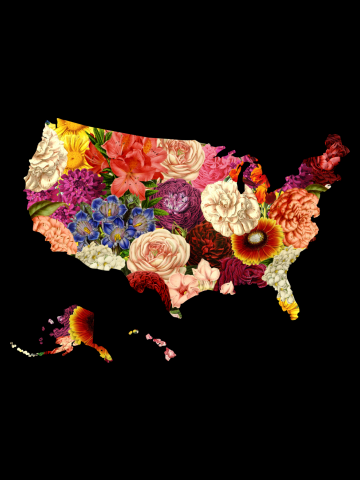 Blooming USA Map Flower 