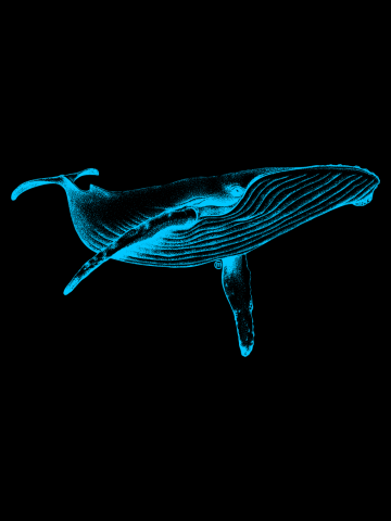 Blue Whale (Neon)