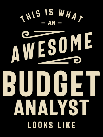 Budget Analyst Job Title Occupation Birthday Worker