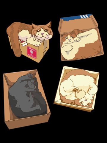 CAT-in-a-box