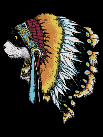 CHIEFCAT