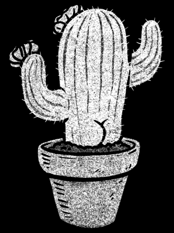 Cactus MONO Edition