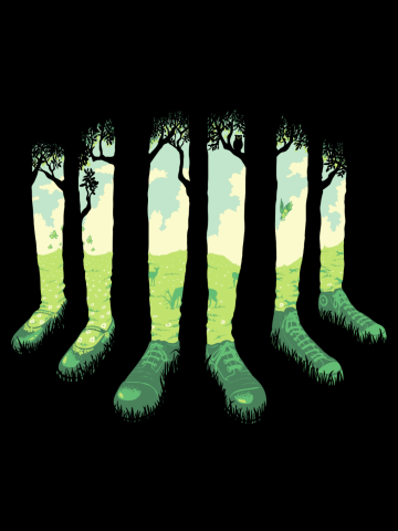 Can't See the Forest but for the Socks