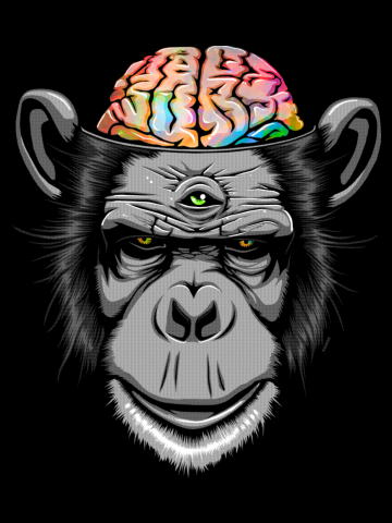 Candy Brain