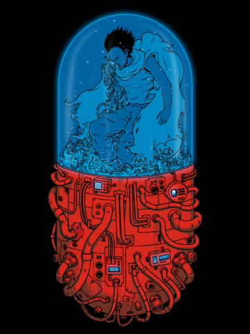 Capsule 41