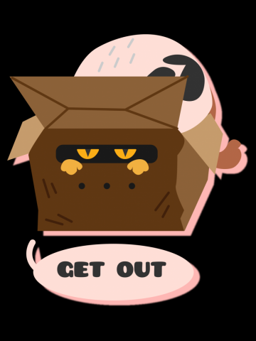 Cat In A Box