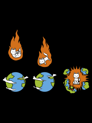 Cat Meteor 