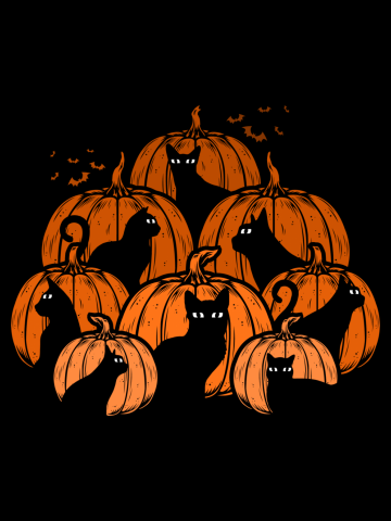 Cat and Pumpkin
