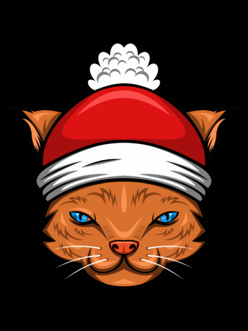 Cat santa hat