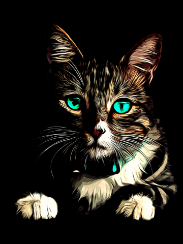 Cat turquoise eyes vector art