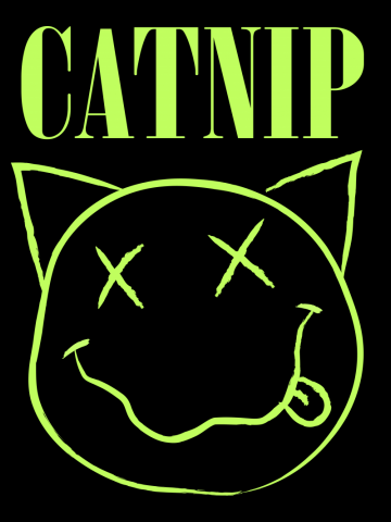 Catnip nirvana