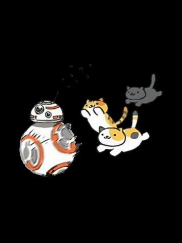 Cats chasing BB8 