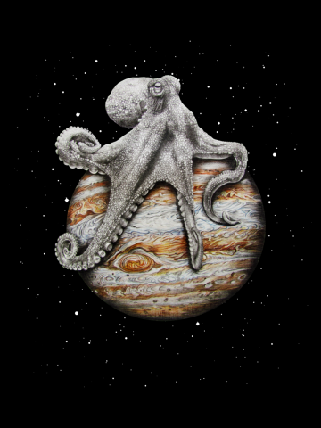 Celestial Cephalopod