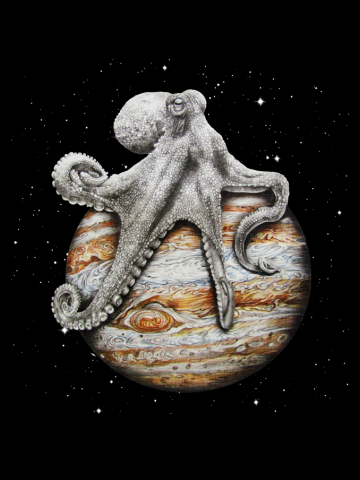 Celestial Cephalopod 