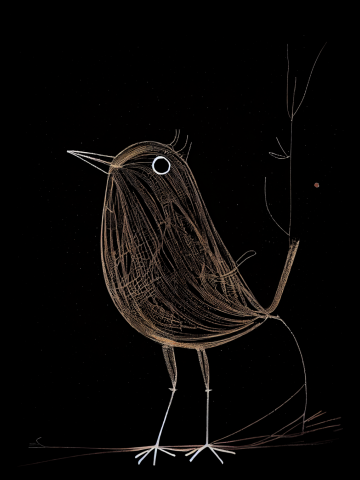 Chalkboard Bird
