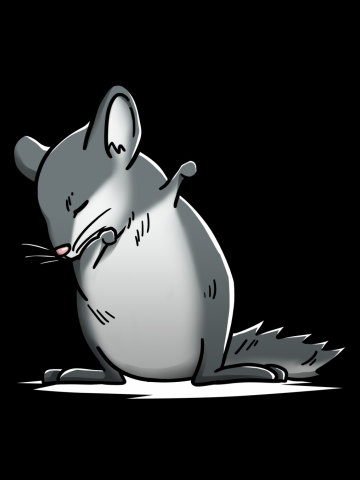Chinchilla Dabbing Dog Dab Dance Move