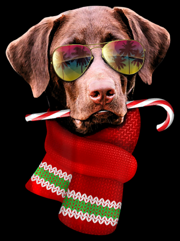 Christmas in July Shirt Labrador Sunglasses Dog Lover Gift T-Shirt