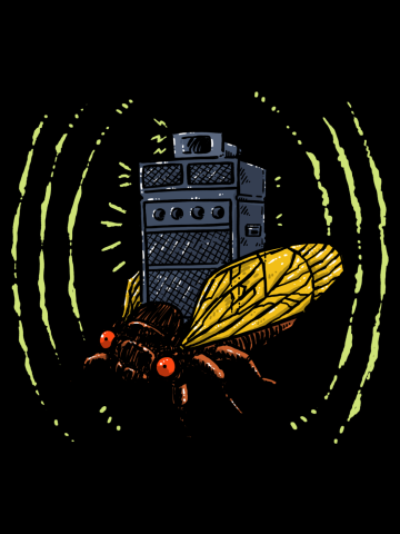 Cicada Soundsystem