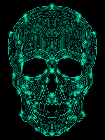 Circuit Skull