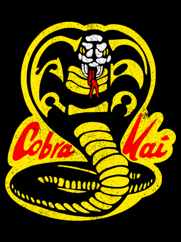 Cobra Kai ✅ Strike First - Strike Hard