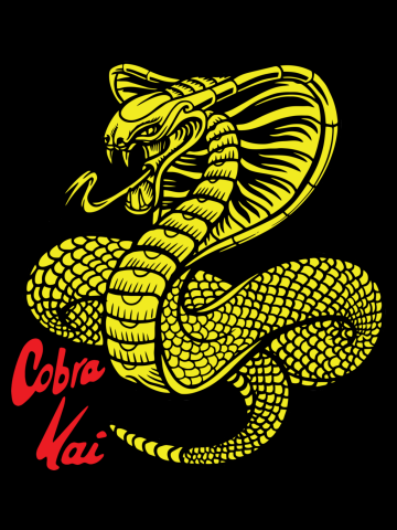 Cobra Kai Strike First - Strike Hard