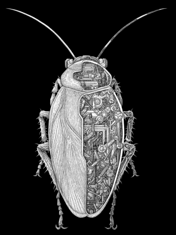 Cockroach sci-fi anatomy