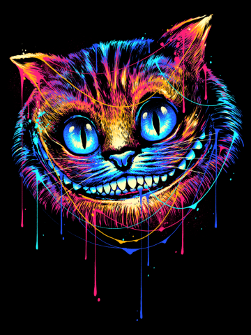 Colorful Cat