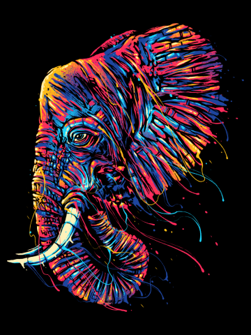 Colorful Elephant