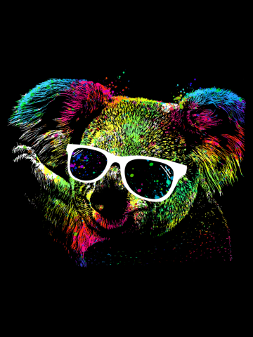 Colorful Koala