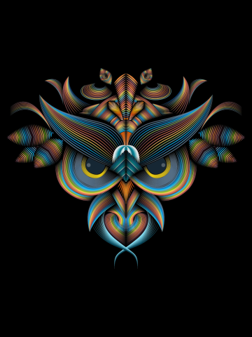 Colorful Owl Line Art