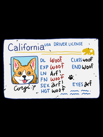 Corgi California driver's license
