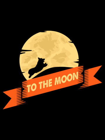 Corgi to the moon