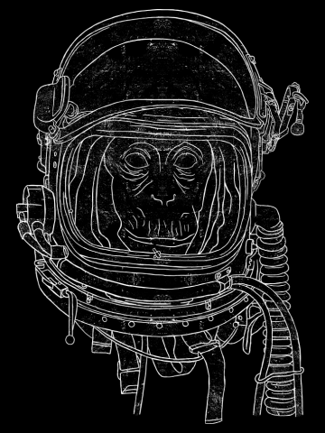 Cosmic Ape