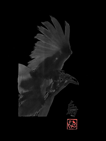 Crow square