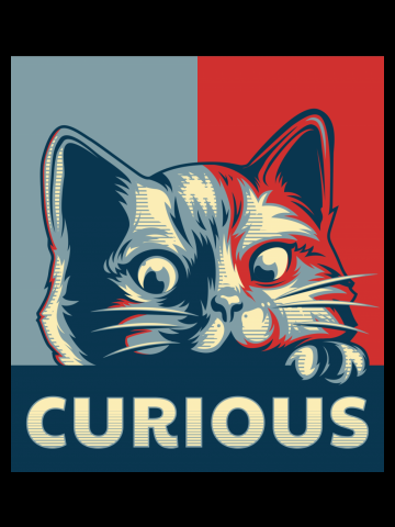 Curious Cat