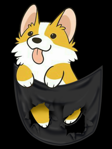 Cute Corgi In Pocket Print