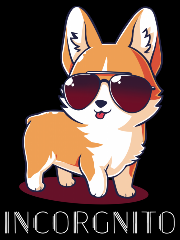 Cute Fox Incorgnito Corgi dog lover
